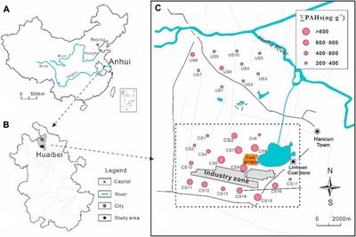 Characterization of polycyclic aromatic hydrocarbons in soil in a coal mining area, East China: Spatial distribution, sources, and carcinogenic risk assessment